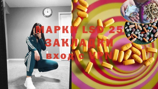 молекула духа Новодвинск