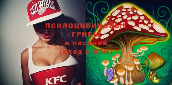 молекула духа Новодвинск