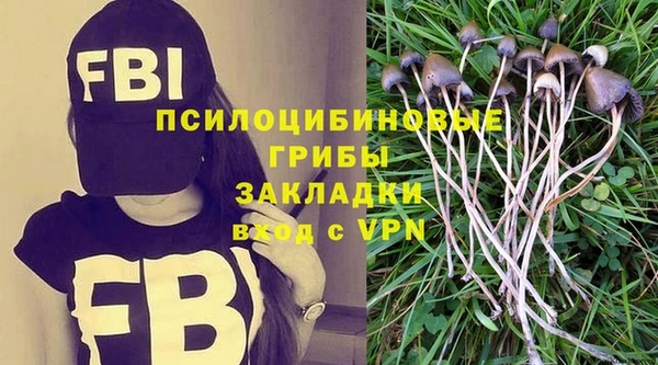 МДМА Няндома