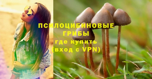 сатива Абинск
